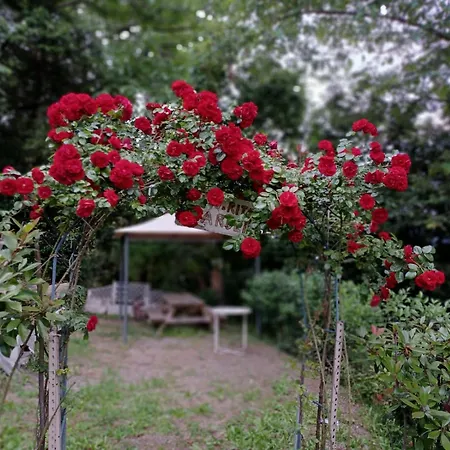 Apartmán Nella Natura Nel Belvedere Di Ghiffa